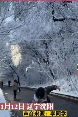中街大果麻酱味,中街大果麻酱味的是多少钱一根