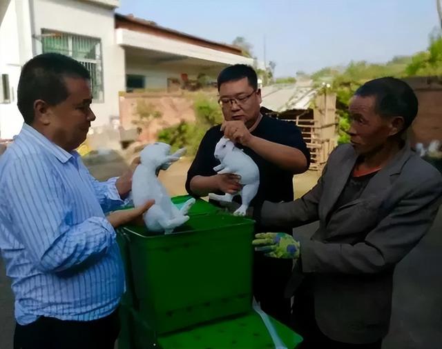 农村创业50个项目药材种植，农村种植药材致富项目