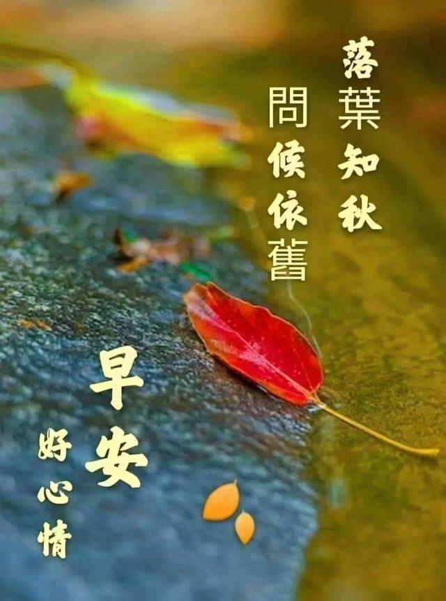 开业大吉四句吉言简短,开业大吉四句吉言简短精辟