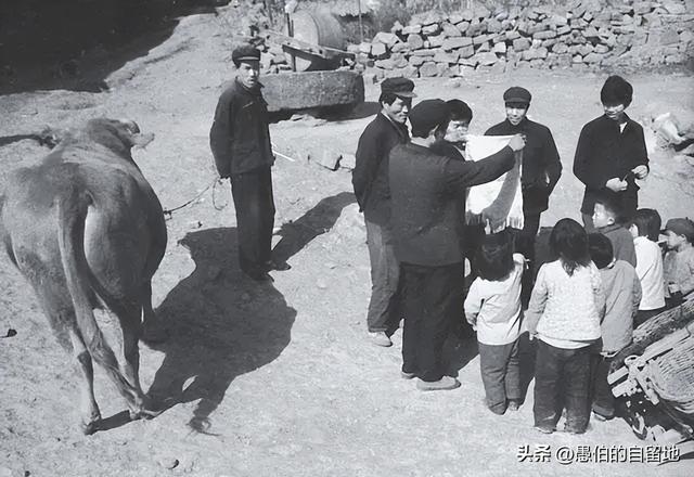 第二次分田到户是什么时候开始的,第二次分田到户是哪一年