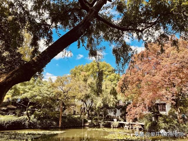 推荐几个开车的微信公众号文章,推荐几个开车的微信公众号文章怎么写