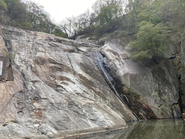 黄金药材价格多少钱一斤,黄金药材的价格