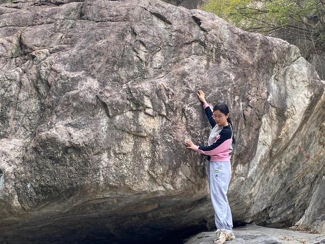 黄金药材价格多少钱一斤,黄金药材的价格