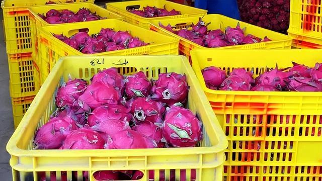 一亩田农产品批发可靠吗,洋槐花，一亩田农产品批发可靠吗安全吗