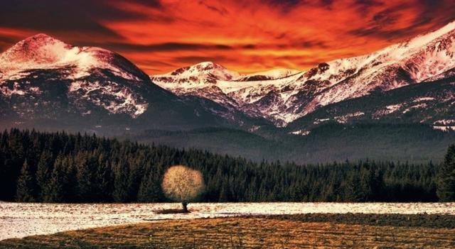 最有谋略的星座女排行榜前十名,最有谋略的星座女排行第一