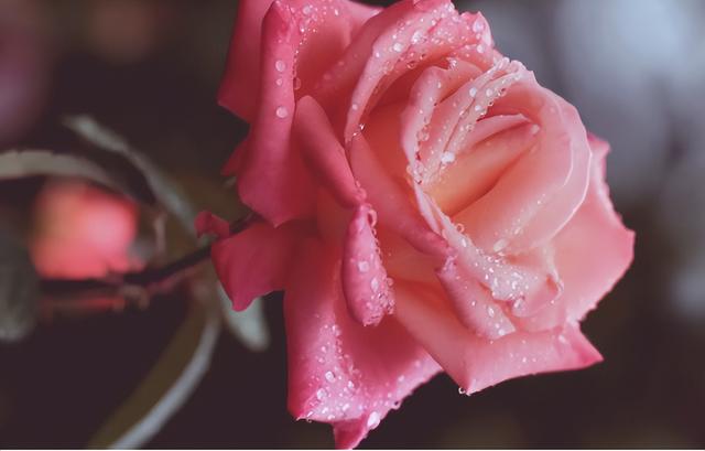 真正让女人动情的，是这样的男人