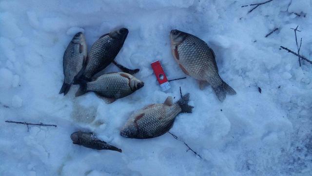 浮力的影响因素有哪些,浮力的影响因素有哪些例子