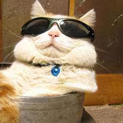 商战小说十大巅峰作品2000,商战小说十大巅峰作品2000字