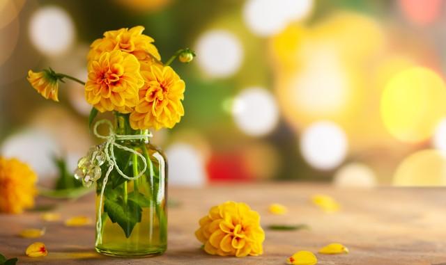 辣妈计划能挣到钱吗好不好,做辣妈计划真的能赚钱吗