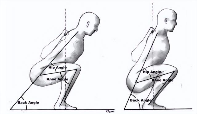 核心的肌肉有哪些,核心力量是指核心肌肉力量
