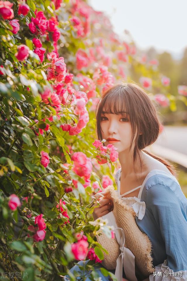 十大网红公司,最有名的网红公司