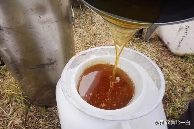 塑料蜂箱的价格是多少,塑料蜂箱的价格是多少钱一个