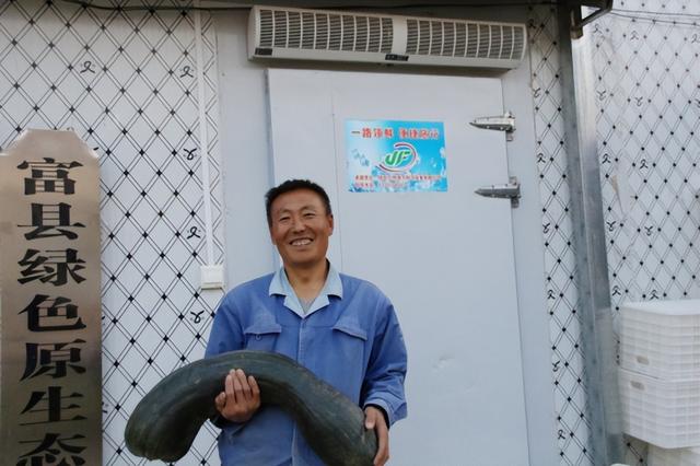 公司盈利模式怎么写分析,公司盈利模式怎么写的