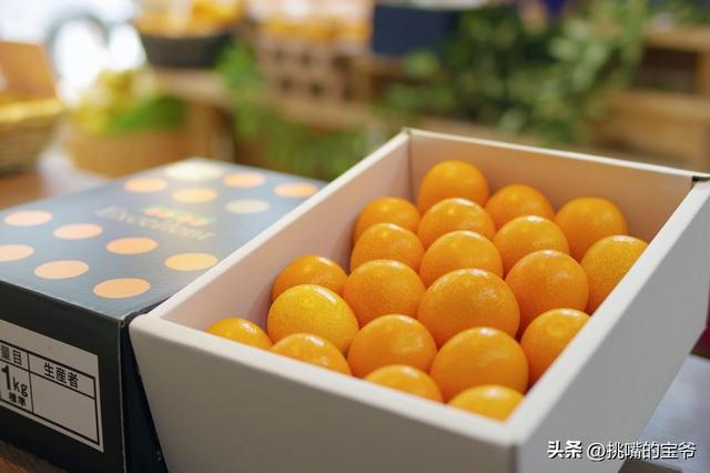 玉玉啥意思,玉玉网络用语