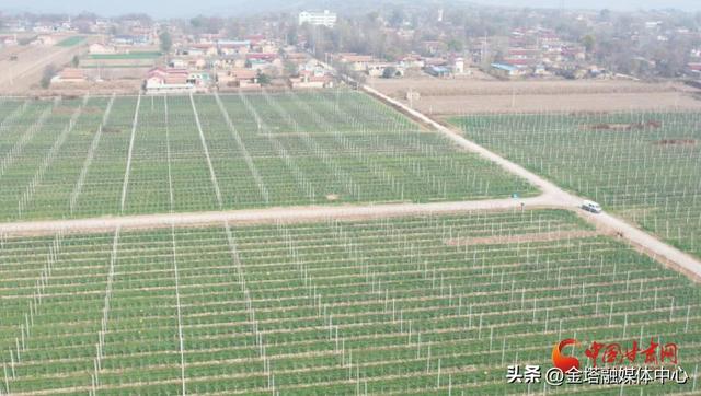 凤县林麝养殖基地,凤县林麝养殖基地地图