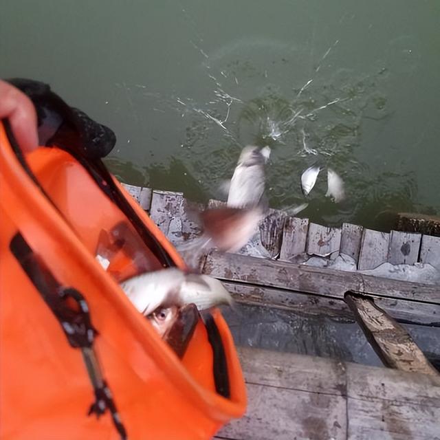 商战小说十大巅峰作品2000,商战小说十大巅峰作品2000字