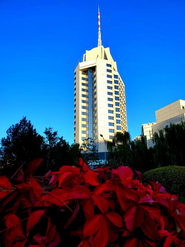 阿托尔斯泰的代表作,阿托尔斯泰的代表作三部曲小说