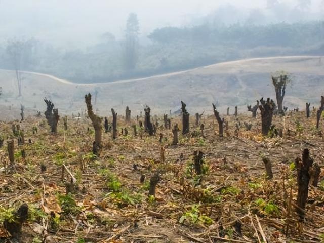 黄河地图高清版大图_全线,黄河地图高清版大图_全图