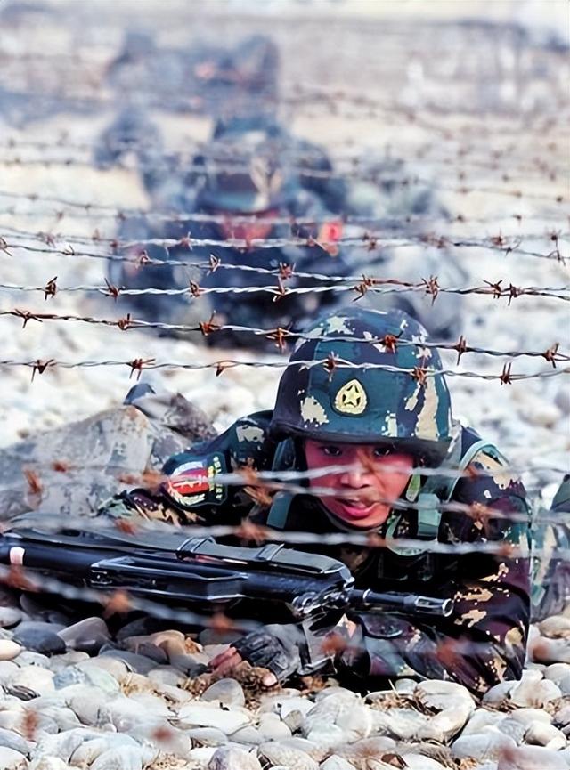 铁网围栏批发,铁网围栏价格