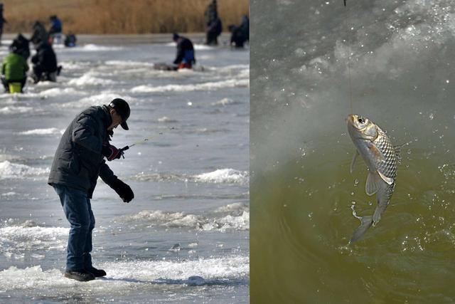 浮力的影响因素有哪些,浮力的影响因素有哪些例子