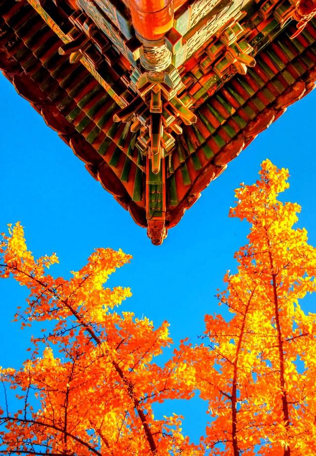 阿托尔斯泰的代表作,阿托尔斯泰的代表作三部曲小说