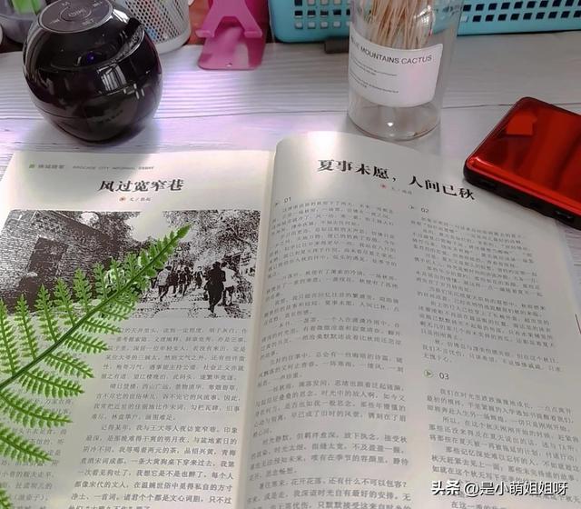 辣妈怎么赚钱,宝妈计划怎么赚钱