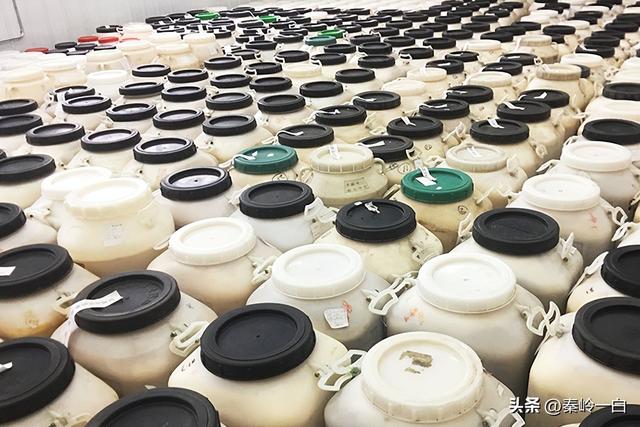 塑料蜂箱的价格是多少,塑料蜂箱的价格是多少钱一个