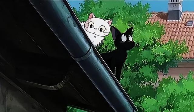 抖音1w粉丝接广告多少钱,抖音1w粉丝接广告多少钱一个