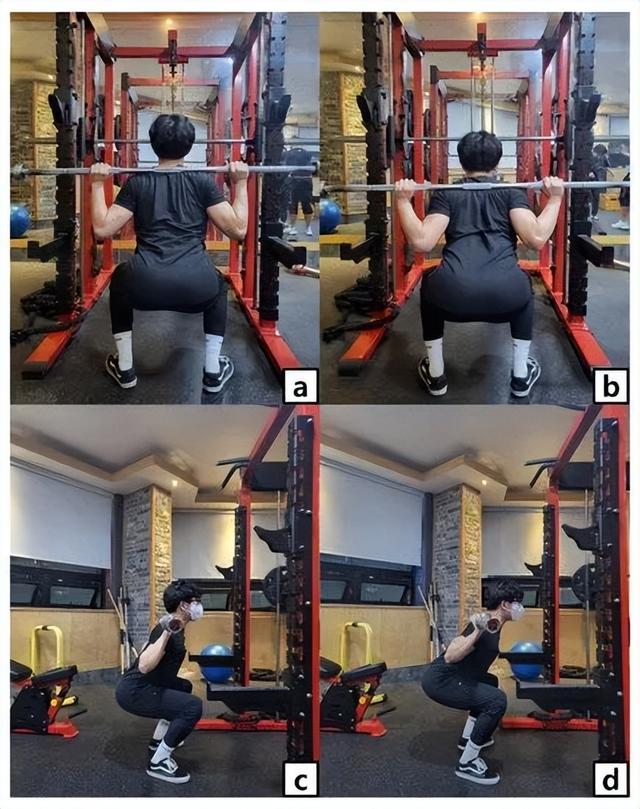 核心的肌肉有哪些,核心力量是指核心肌肉力量