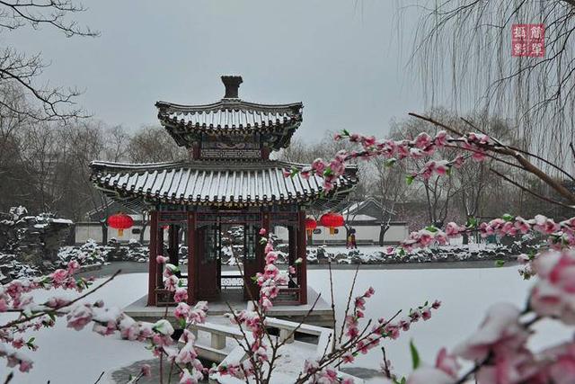 微信群没退群但不见了,怎么查找群聊,微信群没退群但不见了,怎么查找他