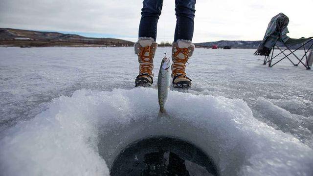 浮力的影响因素有哪些,浮力的影响因素有哪些例子