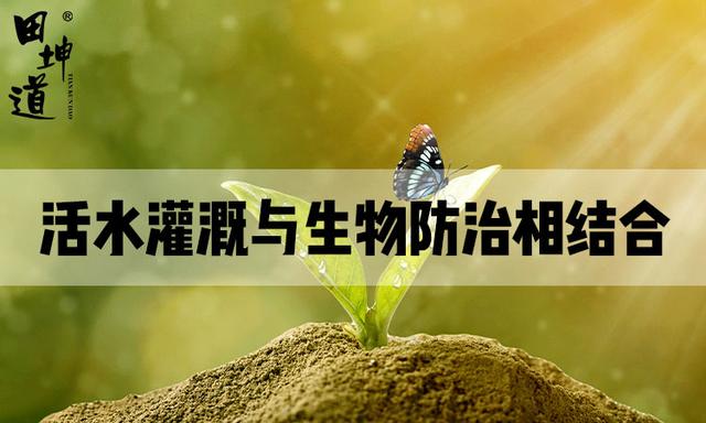 新手怎样开粮油店选址,新手怎样开粮油店选址技巧