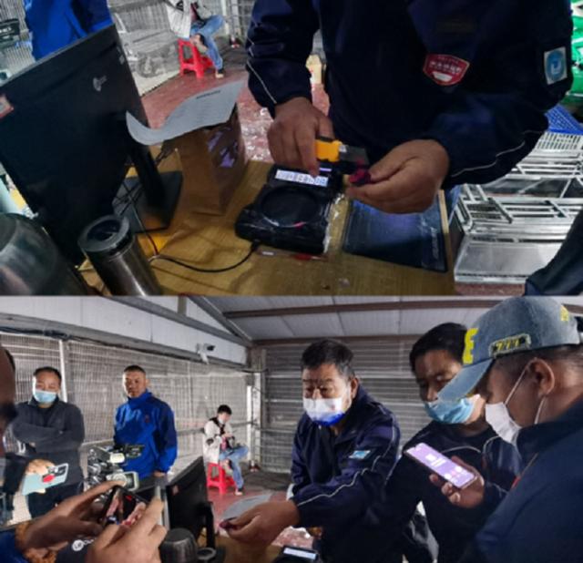 科汇赛鸽赛事直播网站,科汇赛鸽赛事直播网站网址