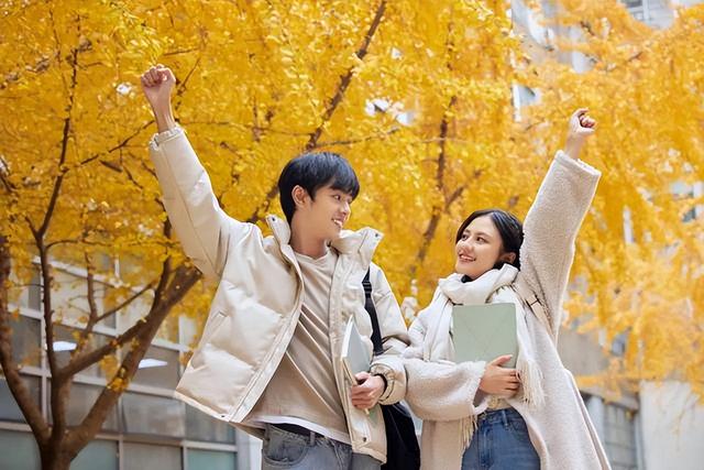 什么是夫妻,夫妻的意义是什么,什么是夫妻夫妻的意义是什么