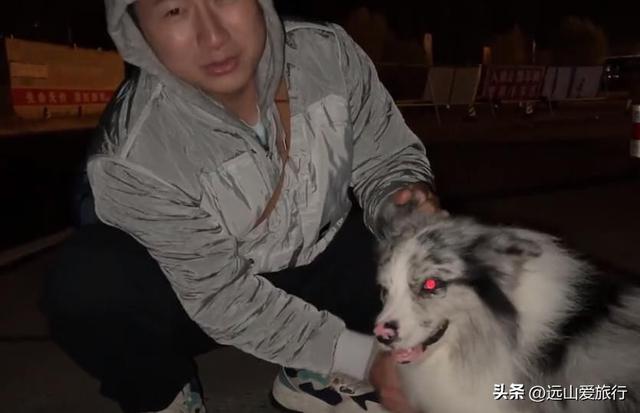 短视频解析去水印,短视频解析去水印接口平台