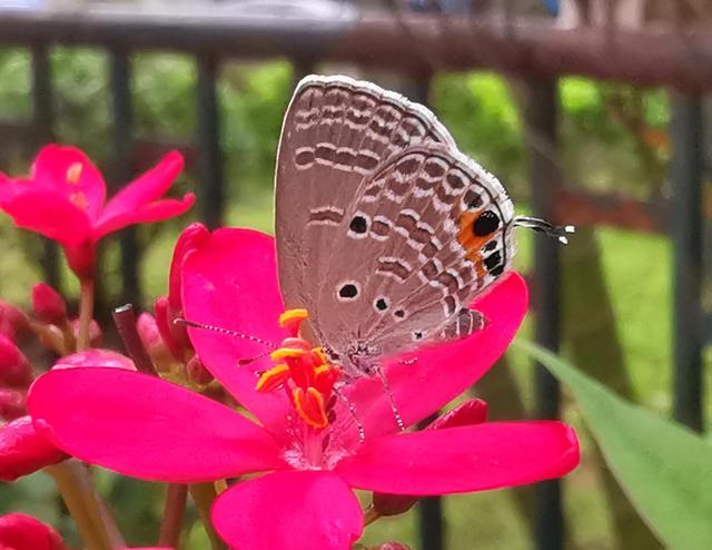 今日头条自媒体平台注册入口,今日头条自媒体平台注册手机版