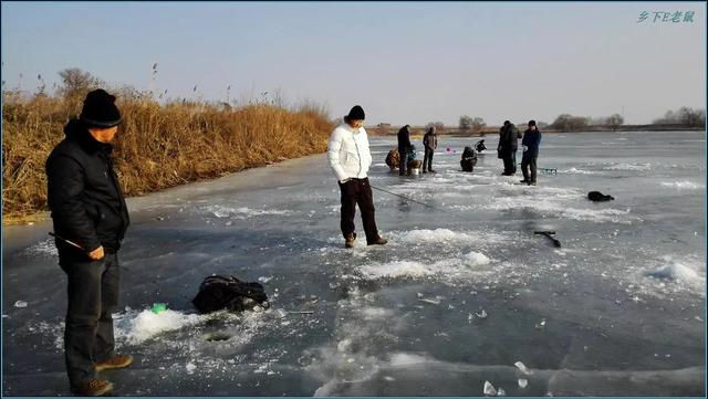 浮力的影响因素有哪些,浮力的影响因素有哪些例子