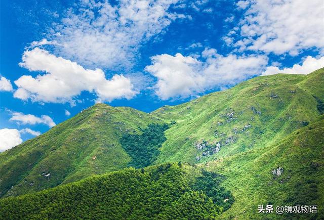 民间故事美妇深山洗衣，光棍追入山洞，将她玷污后被巨蛇吞下