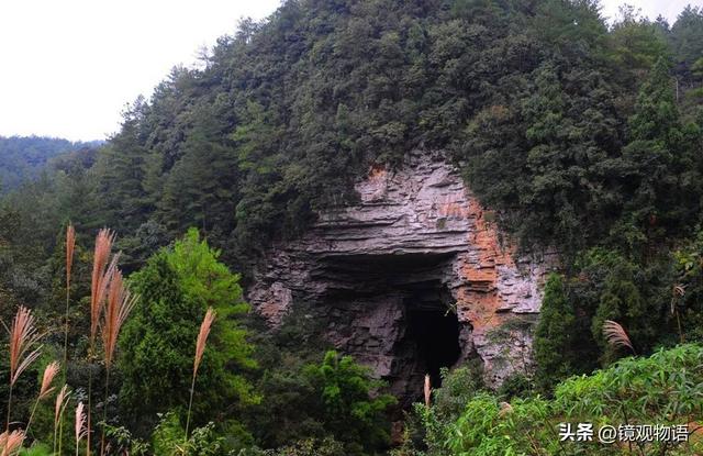 民间故事美妇深山洗衣，光棍追入山洞，将她玷污后被巨蛇吞下