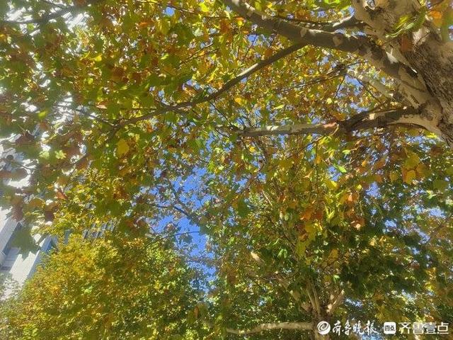 火锅烧烤食材超市加盟费多少,锅锅肴火锅加盟