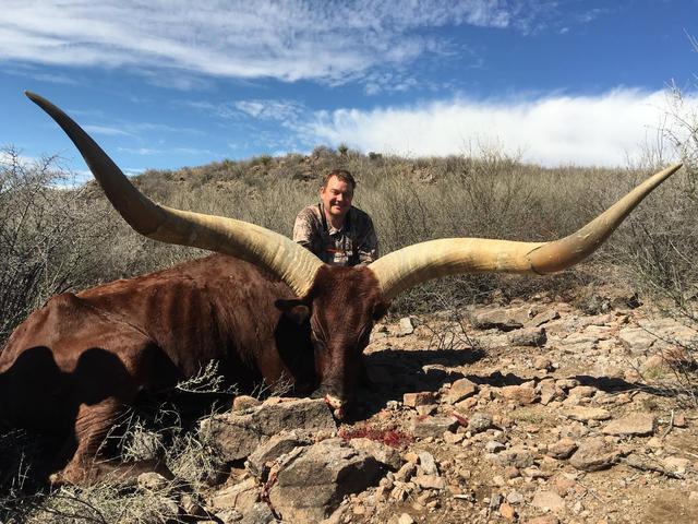 扁形动物有哪些代表,扁形动物有哪些代表动物