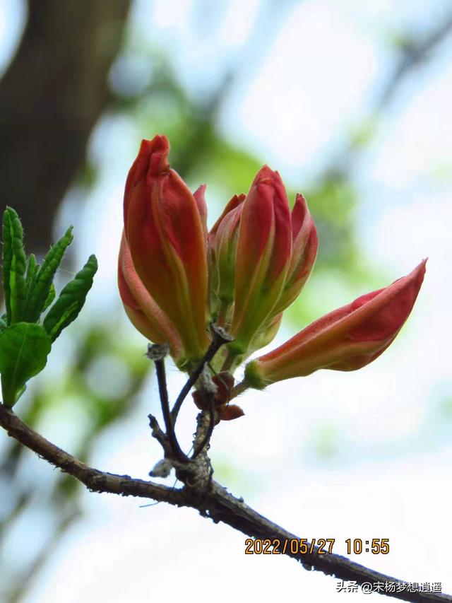 4字静心口诀佛经全文,24字静心口诀佛经下载"