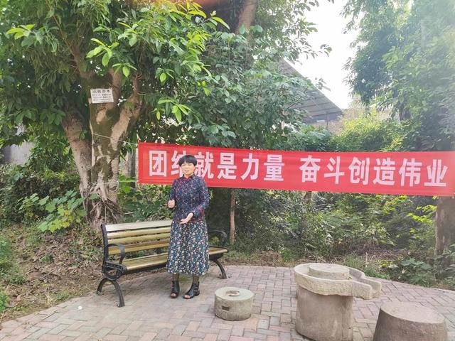 中视频伙伴计划在哪里加入,中视频伙伴计划官方申请入口