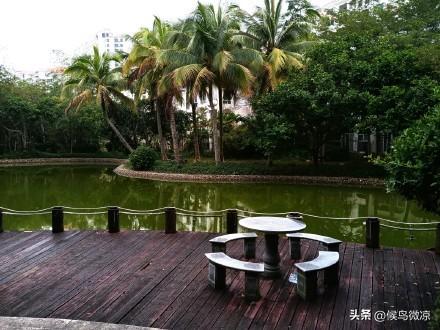 因为风就在那里彭野程迦部分在实体书的哪面,因为风就在那里中彭野程迦