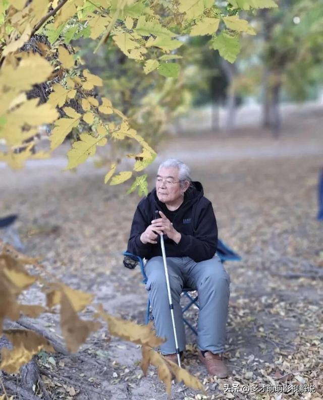 张顺平简介_小提琴,张顺平简介小提琴