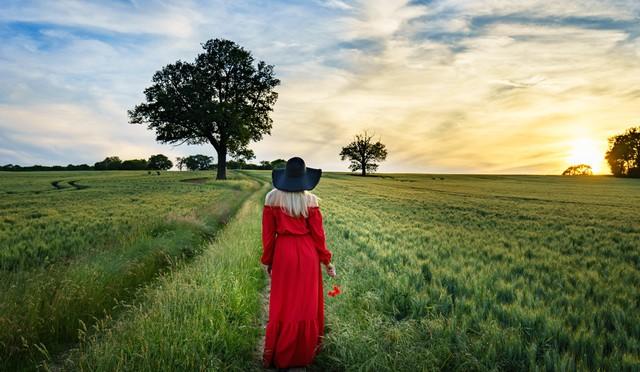 如何快速涨粉上热门,抖音如何快速涨粉上热门