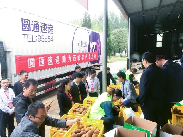 圆通妈妈驿站和菜鸟驿站的区别,圆通妈妈驿站和菜鸟驿站的区别在哪