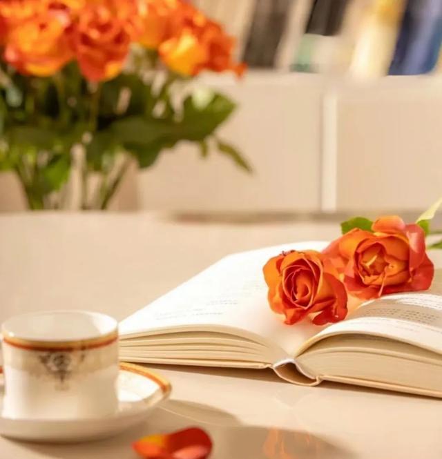 一手地推接单平台,地推接单平台哪个好