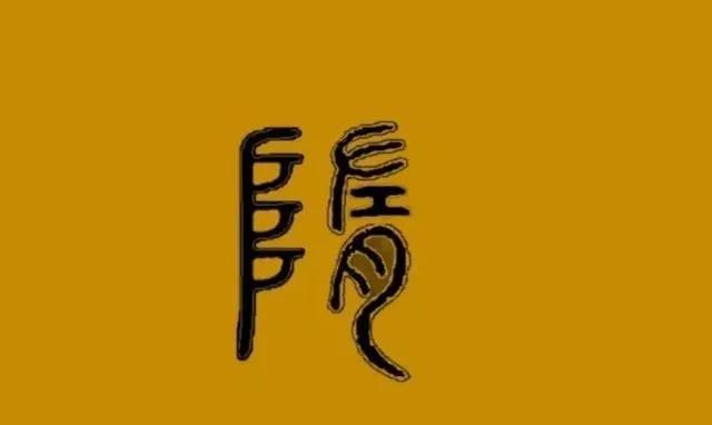 西晋和隋朝灭亡的原因是什么呢,在西晋灭亡至隋朝建立期间