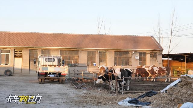 四不像运输车图片及价格,四不像运输车厂家